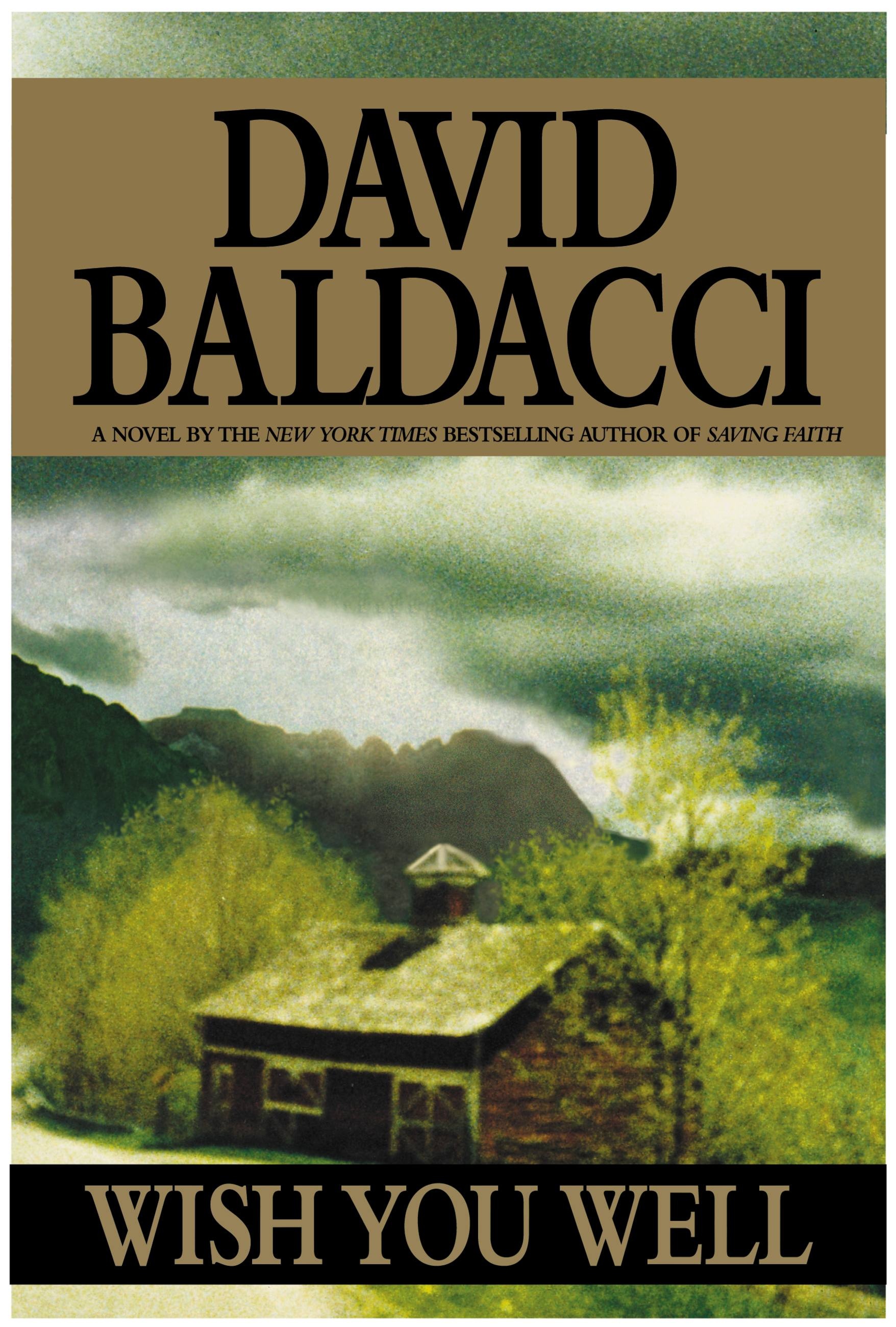 Get Saving Faith David Baldacci Background
