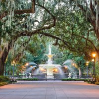 paved walkway leading to a fountain with trees
