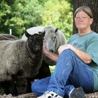 The Skinny on Keeping Sheep as Pets