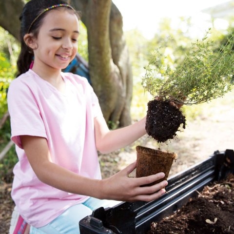 Transplanting Tips for Kid Gardeners
