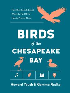 Birds of the Chesapeake Bay